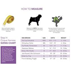 RC Pet Products Cirque Soft Walking Step In Dog Harness