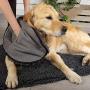 Scruffs Noodle Dog Drying Towel
