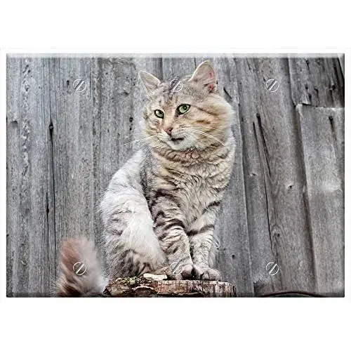 Triple Blank Wall Plate Cover - Cat Cats Pet Gray Cat Fluffy Cat 1 Triple Blank Wall Plate Cover - Cat Cats Pet Gray Cat Fluffy Cat 1
