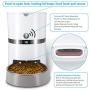 HoneyGuaridan Automatic Pet Feeder, Dogs, Cats, Rabbit & Small Animals Food Dispenser with Stainless Steel Pet Food Bowl, Portion Control and Voice Recording - Batteries and Power Adapter Support