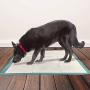 Simple Solution Puppy Training Pad