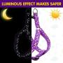 PUPTECK Luminous Dog Harness Collar Leash Set Glow in The Dark- 3 Pieces Adjustable for Small Puppy Medium Doggie Daily Walking Running and Training with Star and Moon Pattern