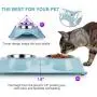 GRANDSEA Double Dog Bowls with Stand, 11 oz Stainless Steel Cat Dish, Dual Use Pet Food and Water Feeder for Small Dogs and Cats