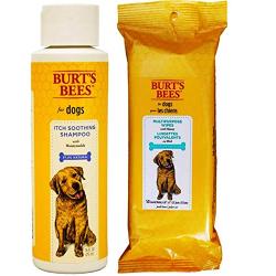 Burts Bees For Dogs Itch Soothing Shampoo with Honeysuckle and Multipurpose Wipes Grooming Bundle, 1 Each