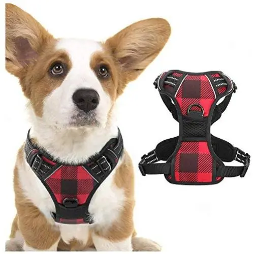 rabbitgoo Dog Harness No Pull, Adjustable Dog Walking Chest Harness with 2 Leash Clips, Comfort Padded Dog Vest Harness with Easy Handle, Reflective Front Body Harness for Small Breeds, Blue Plaid, S rabbitgoo Dog Harness No Pull, Adjustable Dog Walking Chest Harness with 2 Leash Clips, Comfort Padded Dog Vest Harness with Easy Handle, Reflective Front Body Harness for Small Breeds, Blue Plaid, S