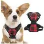 rabbitgoo Dog Harness No Pull, Adjustable Dog Walking Chest Harness with 2 Leash Clips, Comfort Padded Dog Vest Harness with Easy Handle, Reflective Front Body Harness for Small Breeds, Blue Plaid, S rabbitgoo Dog Harness No Pull, Adjustable Dog Walking Chest Harness with 2 Leash Clips, Comfort Padded Dog Vest Harness with Easy Handle, Reflective Front Body Harness for Small Breeds, Blue Plaid, S