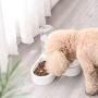 Luck Dawn Dog Cat Double Bowls, Pet Food and Water Feeder Bowls with Automatic Water Bottle No-Spill Resin Station for Cat Small Dog Puppy Kitten Rabbit