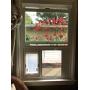 Dragon Sash Window Pet Door Medium Single Flap