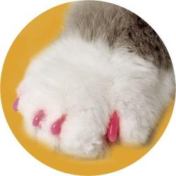 Soft Claws Canine Dog and Cat Nail Caps Take Home Kit, Medium, Pink