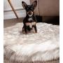 iHappyDog Luxury Faux Fur Orthopedic Dog Bed, Memory Foam Dog Bed​ for​ Small, Medium, Large and XL Pets, Fluffy Pup Rug with Waterproof ​and ​Washable Soft Cover, Bone White