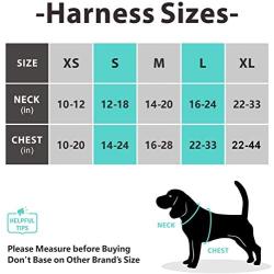 PoyPet No Pull Dog Harness, [Release on Neck] Reflective Adjustable No Choke Pet Vest with Front & Back 2 Leash Attachments, Soft Control Training Handle for Small Medium Large Dogs