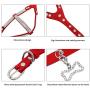 Beirui Soft Suede Rhinestone Leather Dog Harness Leash Set Cat Puppy Sparkly Crystal Vest & 4 ft Lead for Small Medium Cats Pets Chihuahua Poodle Shih Tzu
