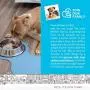 Dog Food Mat - Pet Feeding Mats for Floors - Waterproof Silicone Placemat for Water Bowl, Dish and Tray Dog Food Mat - Pet Feeding Mats for Floors - Waterproof Silicone Placemat for Water Bowl, Dish and Tray