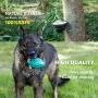 EASTBLUE Squeaky Dog Toys for Aggressive Chewers: Rubber Puppy Chew Ball with Squeaker, Almost Indestructible and Durable Pet Toy for Medium and Large Breed
