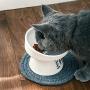 gutongyuan Raised Cat Bowls for Food and Water, Elevated Tilted Cervical Vertebra Protect Ceramic Cat Feeding Bowls with Mat