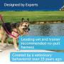 PetSafe Easy Walk Dog Harness, No Pull Dog Harness – Perfect for Leash & Harness Training – Stops Pets from Pulling and Choking on Walks – Works with Small, Medium and Large Dogs
