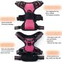 WEZVIX Dog Harness and Leash Set, Pet Harness with Leash Adjustable Outdoor Pet Vest Set Reflective Oxford Material Vest Harness for Small Medium Large Dogs Easy to Control