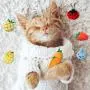 10 Pieces Catnip Cat Toys Catnip Cat Chew Toys Plush Interactive Cute Cat Entertaining Toys with Catnip Assorted Cartoon Cat Toys for Kitten Cat Playing Chewing Grinding Claw and Teeth Cleaning 10 Pieces Catnip Cat Toys Catnip Cat Chew Toys Plush Interactive Cute Cat Entertaining Toys with Catnip Assorted Cartoon Cat Toys for Kitten Cat Playing Chewing Grinding Claw and Teeth Cleaning
