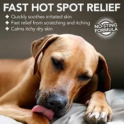Vets Best Hot Spot Itch Relief Shampoo for Dogs | Relieves Dog Dry Skin, Rash, Scratching, Licking, Itchy Skin, and Hot Spots | 16 Ounces