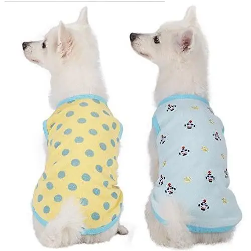 Blueberry Pet 7 Patterns Pack of 2 New Soft & Comfy Dog Shirts, 2 Patterns Pack of 1 Zebra Shirt Blueberry Pet 7 Patterns Pack of 2 New Soft & Comfy Dog Shirts, 2 Patterns Pack of 1 Zebra Shirt