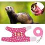 POPETPOP Small Animals Harness Vest and Leash Set, Adjustable Outdoor Walking Chest Strap Harness with Cute Bowknot for Rabbit, Guinea Pig Hamster