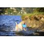 ChuckIt! Water Exercise Toy Bundle for Dogs with ChuckIt! Medium Amphibious Bumper Floating Fetch Toy and ChuckIt! Large Paraflight Toy
