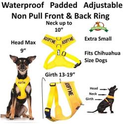 Dexil Limited Adopt ME (I Need A New Home) Yellow Color Coded Non-Pull Front and Back D Ring Padded and Waterproof Vest Dog Harness Prevents Accidents by Warning Others of Your Dog in Advance