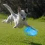 senyouth Dog Toys, 7 Pack Dog Squeaky Toys Sets | Rope and Flying Ring Puppy Chew Toys | Tough Puppy Teething Toys | Cute and Soft Plush Interactive Washable Pet Toys | for Small and Medium-Sized Dog senyouth Dog Toys, 7 Pack Dog Squeaky Toys Sets | Rope and Flying Ring Puppy Chew Toys | Tough Puppy Teething Toys | Cute and Soft Plush Interactive Washable Pet Toys | for Small and Medium-Sized Dog