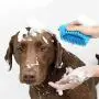 CHOOSEEN Dog Cleaner Upgrade 2 in 1 Dog Paw Cleaner Dog Brush Dog Grooming Dog Cleaning Paw Cleaner Portable Dog Foot Washer for Dog Cat CHOOSEEN Dog Cleaner Upgrade 2 in 1 Dog Paw Cleaner Dog Brush Dog Grooming Dog Cleaning Paw Cleaner Portable Dog Foot Washer for Dog Cat