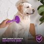 Round Bristle Pet Brush for Dogs and Cats - Gentle Grooming for Short or Long Hair - Soft Tool for Sensitive Skin Removes Dander, Dirt, and Detangles - Purple