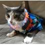 Rubies Costume Luau Pet Costume