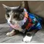 Rubies Costume Luau Pet Costume