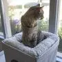 Kitty City Large Stackable Tan Cat Condo, Cat Cube, Cat House, Pop Up Bed, Cat Ottoman Kitty City Large Stackable Tan Cat Condo, Cat Cube, Cat House, Pop Up Bed, Cat Ottoman