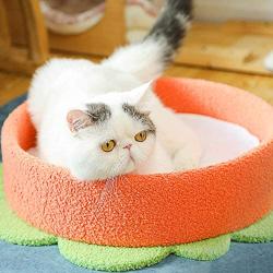 Cat Bed Small Dog Bed 12Inch Soft Flower Round Pet Beds Indoor for Cats Kitty