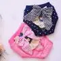 PETCARE 2 Pcs Dog Diapers Female Physiological Pants Pet Reusable Washable Dog Period Diapers Cute Cotton Dog Underwear with Pink/Blue Bows for Cat Puppy Small Dogs PETCARE 2 Pcs Dog Diapers Female Physiological Pants Pet Reusable Washable Dog Period Diapers Cute Cotton Dog Underwear with Pink/Blue Bows for Cat Puppy Small Dogs