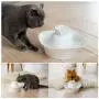Aurora Cat Water Fountain Porcelain, Pet Fountain Pet Water Fountain for Dog and Cat, 2 Water Pumps, Ultra Quiet Scratch Resistant Cat water dispenser, Stronger than Ceramic Fountain, Cleaning brushes Aurora Cat Water Fountain Porcelain, Pet Fountain Pet Water Fountain for Dog and Cat, 2 Water Pumps, Ultra Quiet Scratch Resistant Cat water dispenser, Stronger than Ceramic Fountain, Cleaning brushes