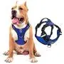 MeyKoo Dog Harness No Pull Soft Breathable,Easy Put on &Off No Choke Control Training Handle Outdoor Walk Joyride,Adjustable Reflective Padded Leash Vest Harness for Small Medium Large Dogs (S, Blue) MeyKoo Dog Harness No Pull Soft Breathable,Easy Put on &Off No Choke Control Training Handle Outdoor Walk Joyride,Adjustable Reflective Padded Leash Vest Harness for Small Medium Large Dogs (S, Blue)