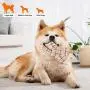 Dog Toy, Dog Squeak Toys, Chew Toy Pet Dog, Stuffed Toys for Dogs, Stuffing Squeaky Plush Dog Toy, Soft Shape Pet Toy, Dog Toys for Aggressive Chewers Medium Breed, Durable Dog Toy, Cat Dog Toy, Dog Squeak Toys, Chew Toy Pet Dog, Stuffed Toys for Dogs, Stuffing Squeaky Plush Dog Toy, Soft Shape Pet Toy, Dog Toys for Aggressive Chewers Medium Breed, Durable Dog Toy, Cat