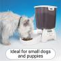 Ani Mate Cat Mate C3000 Automatic Dry Food Feeder for Cats & Small Dogs