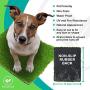 SavvyGrow Artificial Grass for Dogs AstroTurf-Rug - Premium 4 Tone Synthetic Astro Turf, Easy to Clean with Drain Holes - Fake Turfs for Patios – Non Toxic (Many Sizes)(17 in x 24 in)
