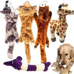 Jalousie 5 Pack Dog Squeaky Toys Three no Stuffing Toy and Two Plush with Stuffing for Small Medium Large Dog Pets New (Combo B)