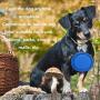 Large Collapsible Dog Bowl,Hiking Dog Bowl for Large Dogs Lightweight,Durable,Leak Proof,Food Safe,Easy To Clean, Premium Quality Travel Pet Bowl Solution,Perfect For Travlling,Camping With Your Pet