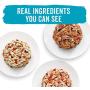 Purina Beneful IncrediBites Adult Wet Dog Food Variety Pack