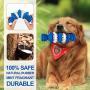 Dog Chew Toys - Dog Toys for Aggressive Chewers Toughest Natural Rubber - Dog Toothbrush Toys Interactive Dog Toys for Puppies and Medium & Large Dogs - Dental Care Teeth Cleaning Toy for Dogs (Blue)