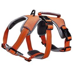 BELPRO Multi-Use Support Dog Harness, Escape Proof No Pull Reflective Adjustable Vest with Durable Handle, Dog Walking Harness for Big/Active Dogs