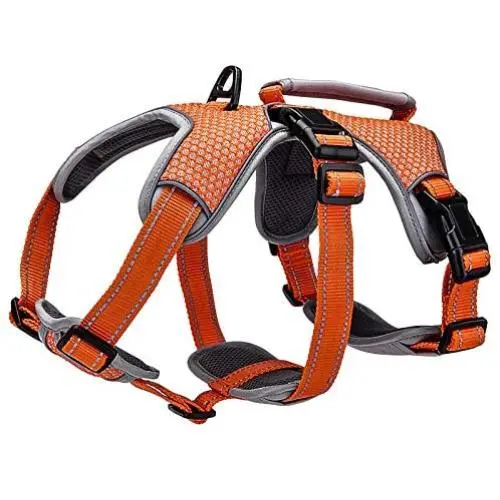 BELPRO Multi-Use Support Dog Harness, Escape Proof No Pull Reflective Adjustable Vest with Durable Handle, Dog Walking Harness for Big/Active Dogs BELPRO Multi-Use Support Dog Harness, Escape Proof No Pull Reflective Adjustable Vest with Durable Handle, Dog Walking Harness for Big/Active Dogs