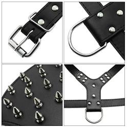 Didog Leather Spiked & Studded Medium & Large Dog Harness for Pit Bulldog Mastif