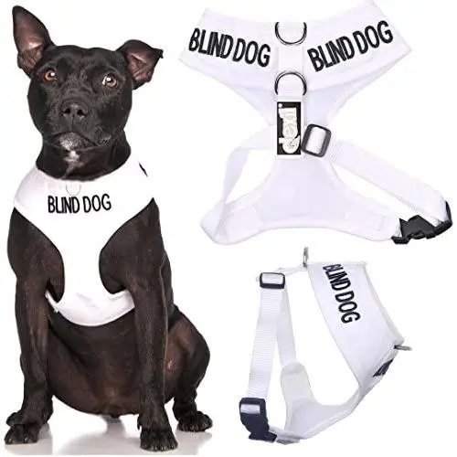 Blind Dog (Dog Has Limited/No Sight) White Color Coded Non-Pull Front and Back D Ring Padded and Waterproof Vest Dog Harness Prevents Accidents by Warning Others of Your Dog in Advance Blind Dog (Dog Has Limited/No Sight) White Color Coded Non-Pull Front and Back D Ring Padded and Waterproof Vest Dog Harness Prevents Accidents by Warning Others of Your Dog in Advance
