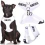 Blind Dog (Dog Has Limited/No Sight) White Color Coded Non-Pull Front and Back D Ring Padded and Waterproof Vest Dog Harness Prevents Accidents by Warning Others of Your Dog in Advance
