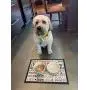 PetRageous 10218 Cuddles Tapestry Dog and Cat Non-Skid Machine Washable Placemat for Pet Feeding Areas with Rubber Backing 13-Inch by 19-Inch for Dogs and Cats, Multi-Colored PetRageous 10218 Cuddles Tapestry Dog and Cat Non-Skid Machine Washable Placemat for Pet Feeding Areas with Rubber Backing 13-Inch by 19-Inch for Dogs and Cats, Multi-Colored
